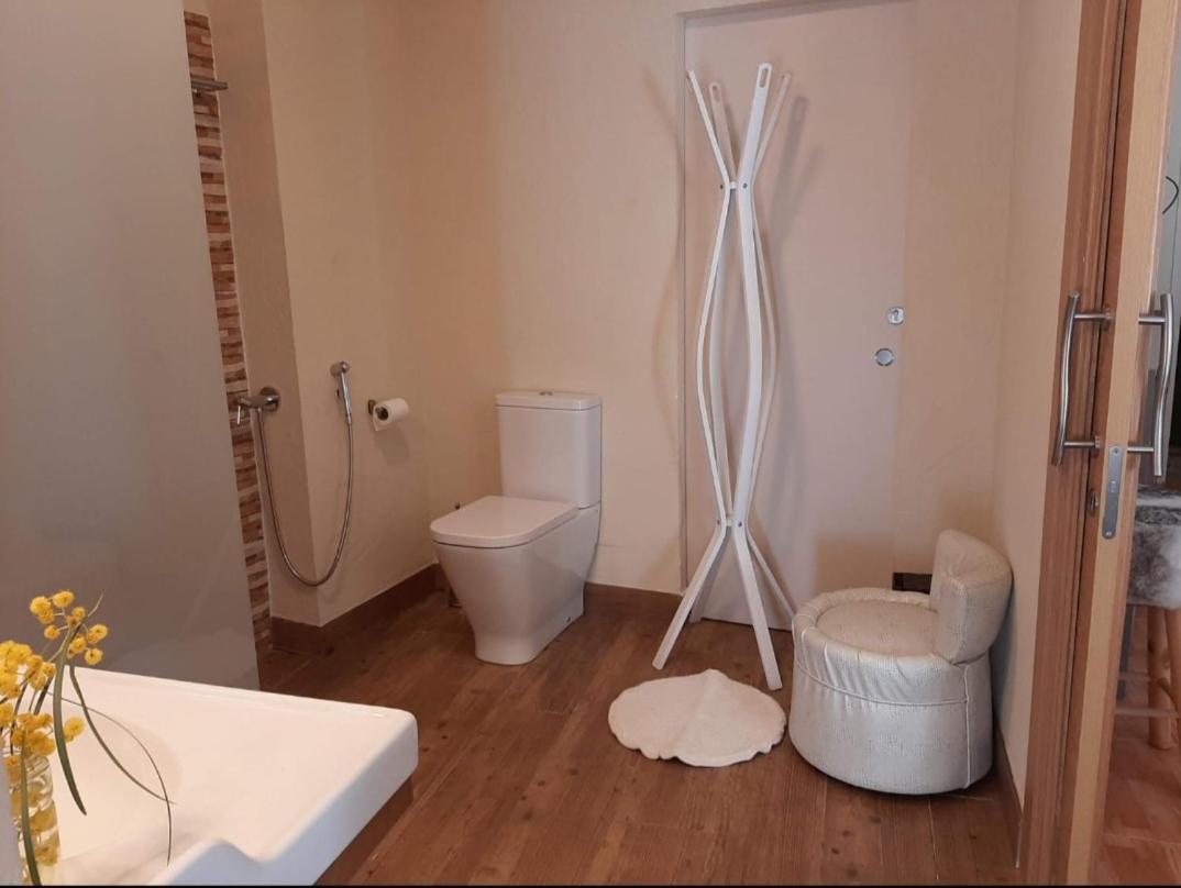 Comodo Apartamento Deltebre Eksteriør bilde